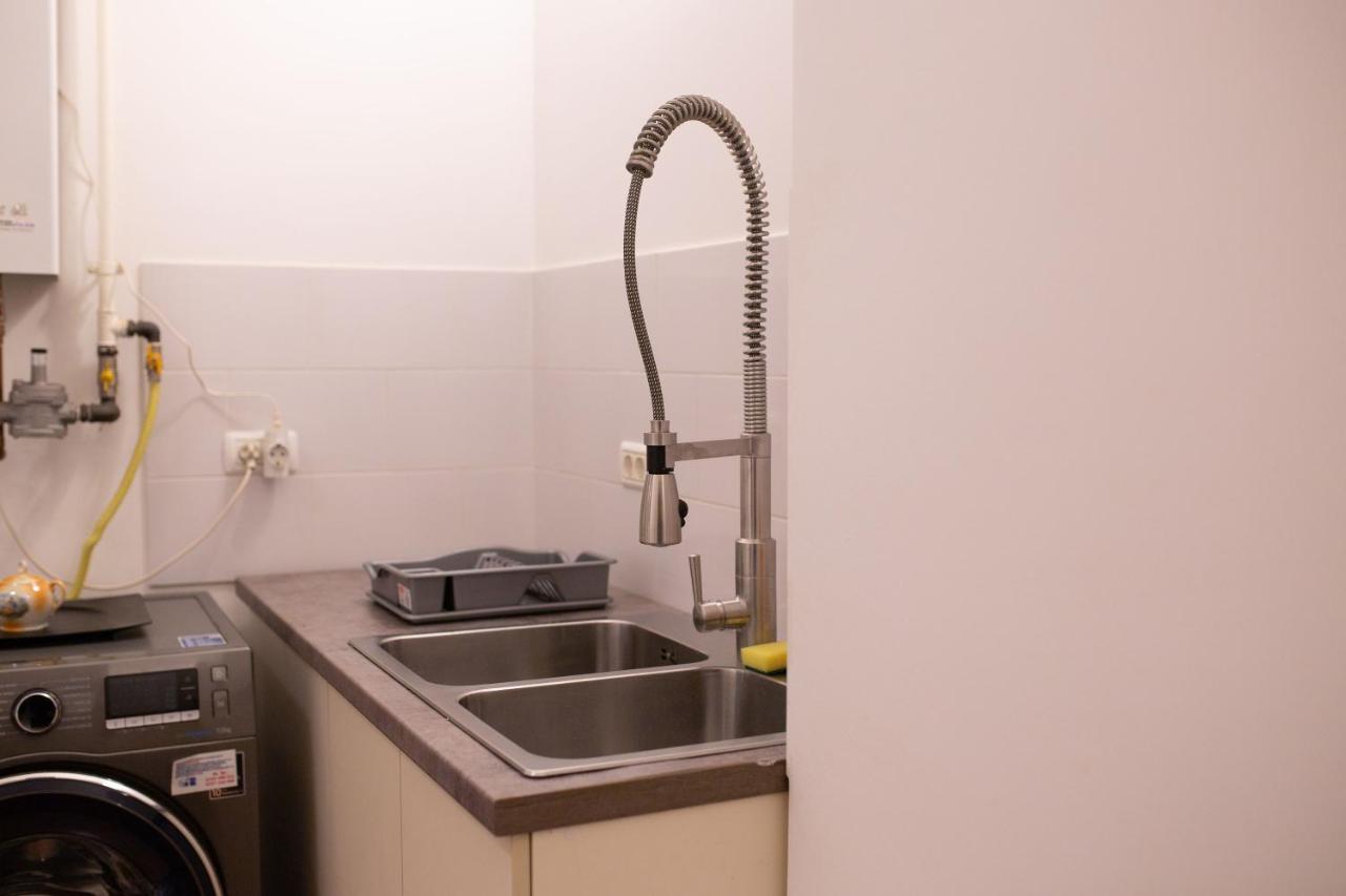 Alessia Apartment In The Old Town Тимишоара Экстерьер фото