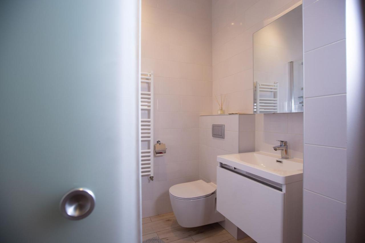 Alessia Apartment In The Old Town Тимишоара Экстерьер фото